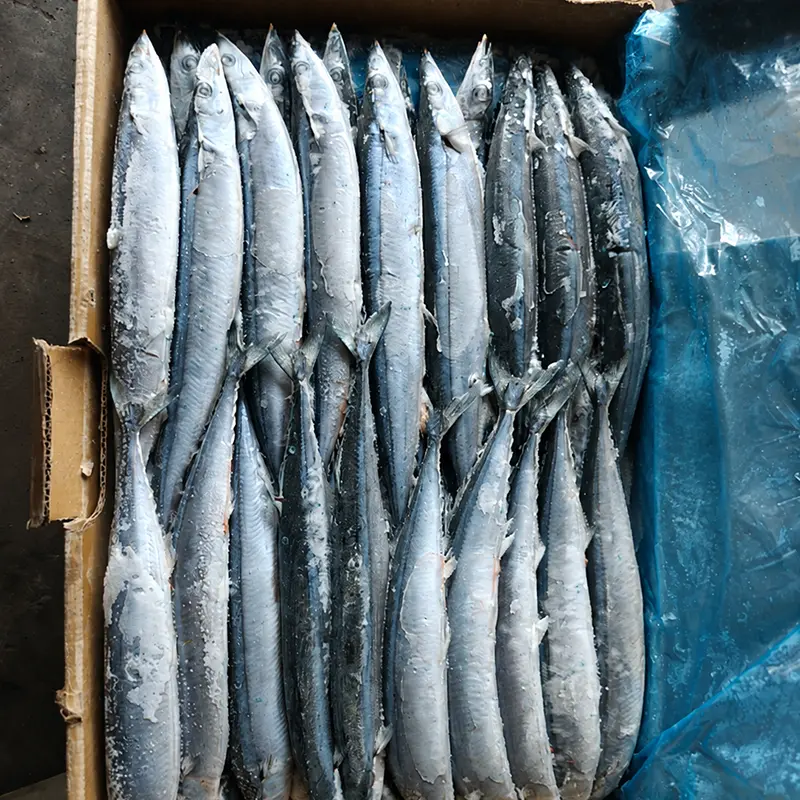 Mitől válik praktikus választássá a Pacific Saury a tenger gyümölcseit vásárlók számára?