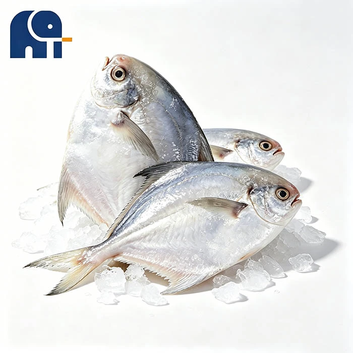 IQF fehér Pomfret üvegezéssel