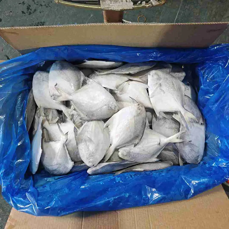 Prémium karton fehér Pomfret egész körben