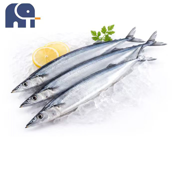 Téli fagyasztott csendes-óceáni Saury egész körben